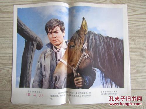 怎么买香港护照模板